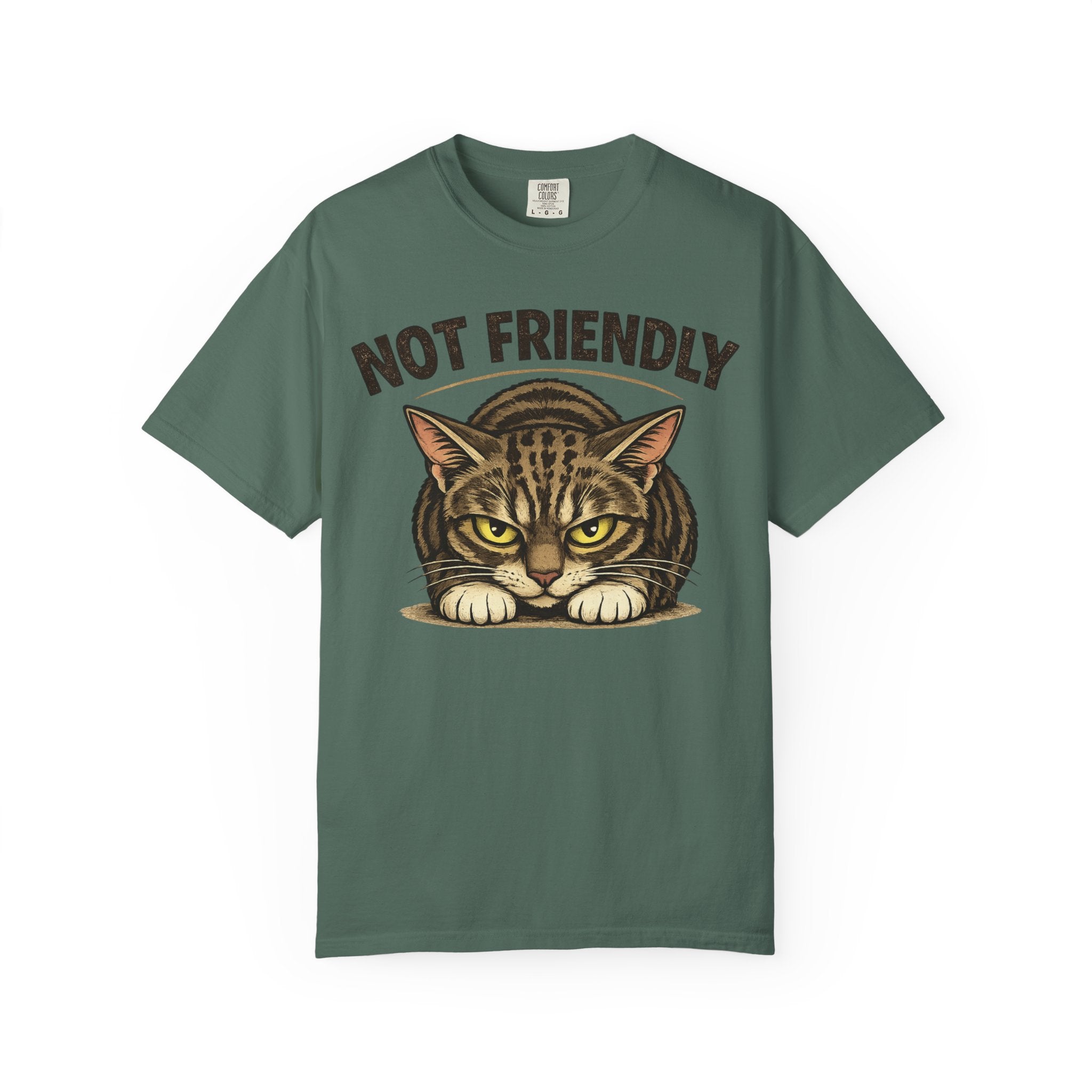 Not Friendly Cat T-Shirt — Retro Grumpy Tabby Graphic Tee