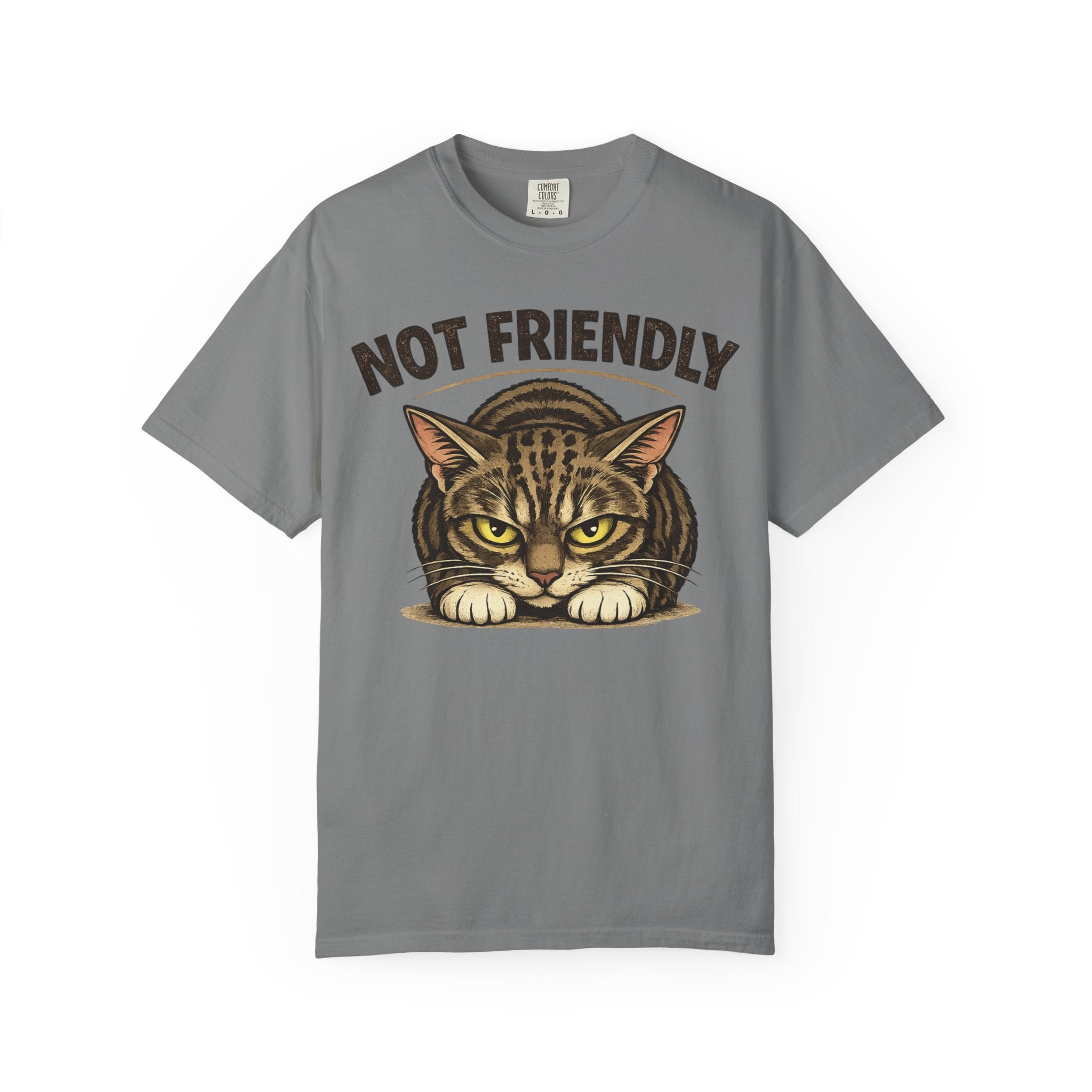 Not Friendly Cat T-Shirt — Retro Grumpy Tabby Graphic Tee