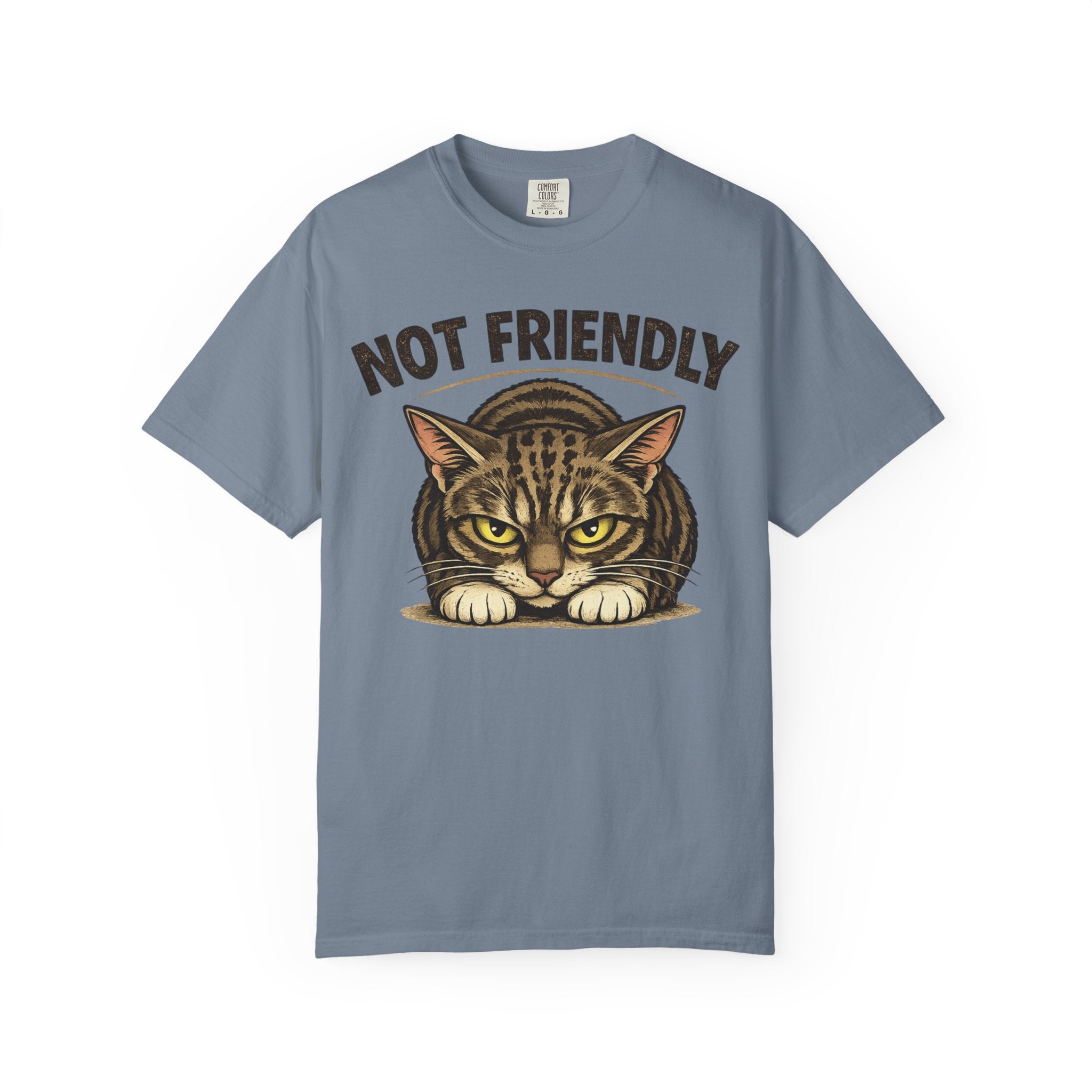 Not Friendly Cat T-Shirt — Retro Grumpy Tabby Graphic Tee