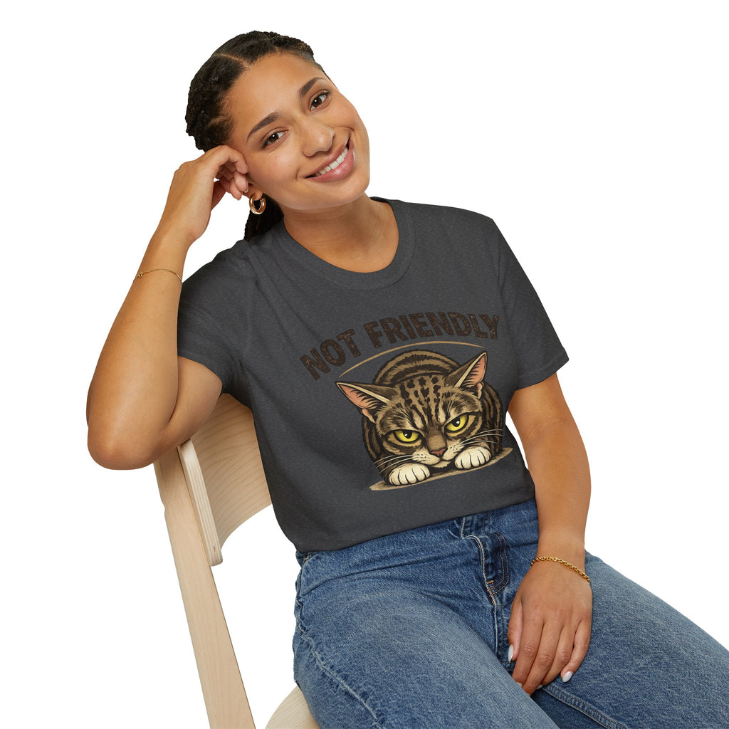 Not Friendly Cat T-Shirt — Grumpy Tabby Graphic Tee for Cat Lovers