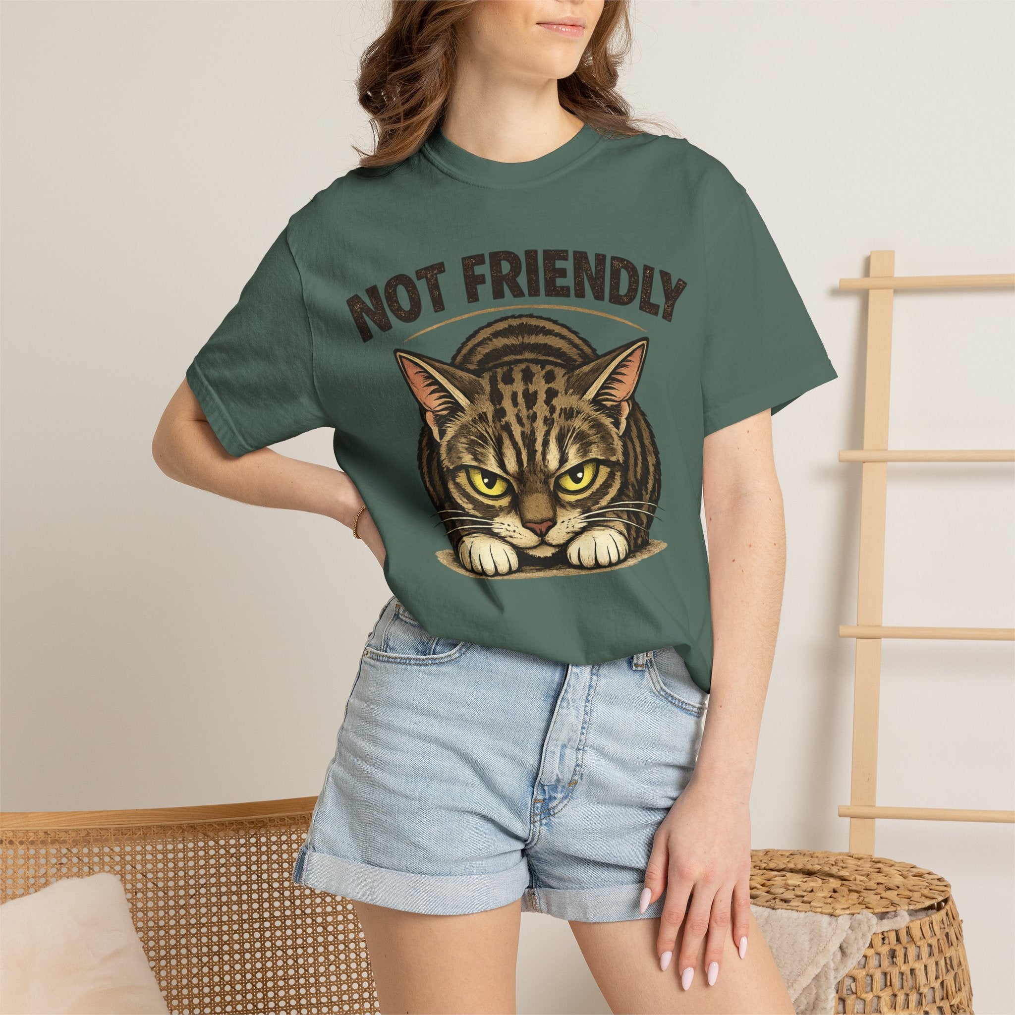 Not Friendly Cat T-Shirt — Retro Grumpy Tabby Graphic Tee