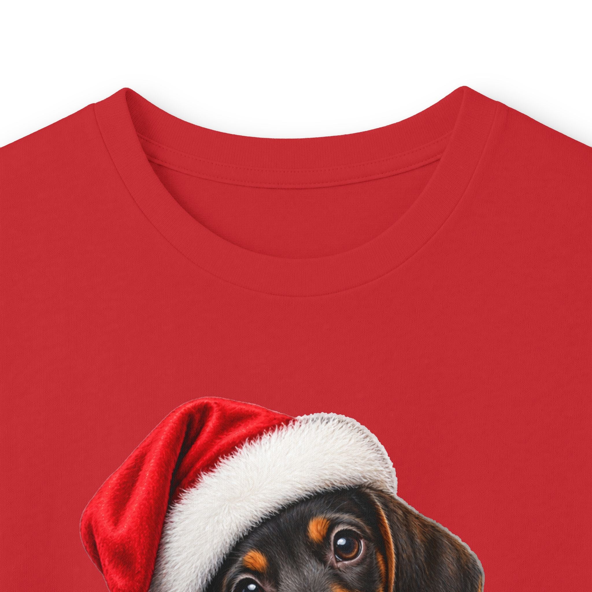 Dachshund Christmas Long Sleeve Tee - Santa Hat Puppy Holiday Shirt