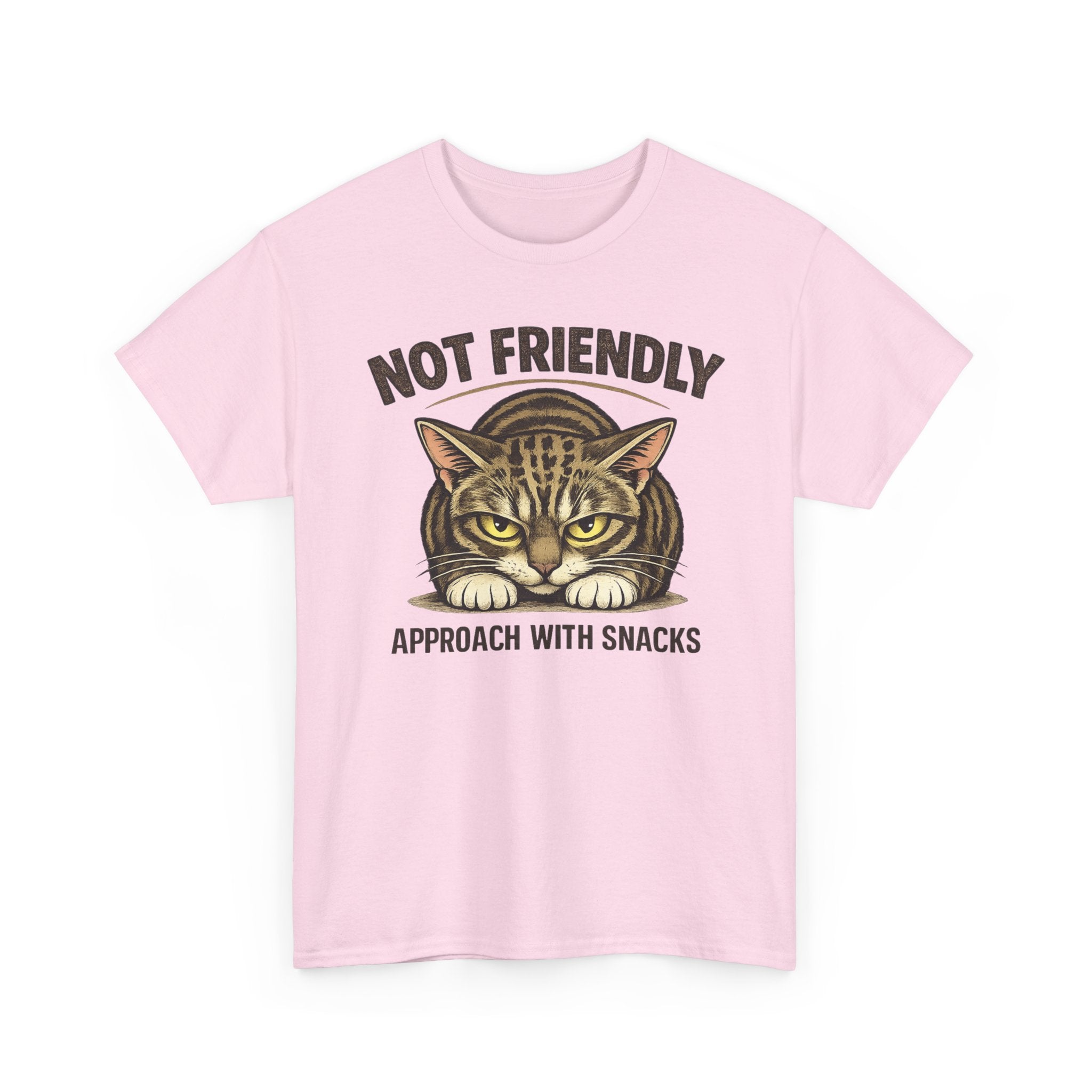 Not Friendly Cat T-Shirt — Graphic Tee "Approach With Snacks"
