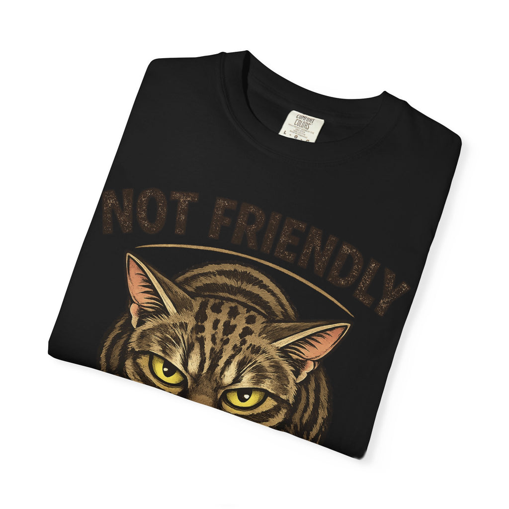 Not Friendly Cat T-Shirt — Retro Grumpy Tabby Graphic Tee