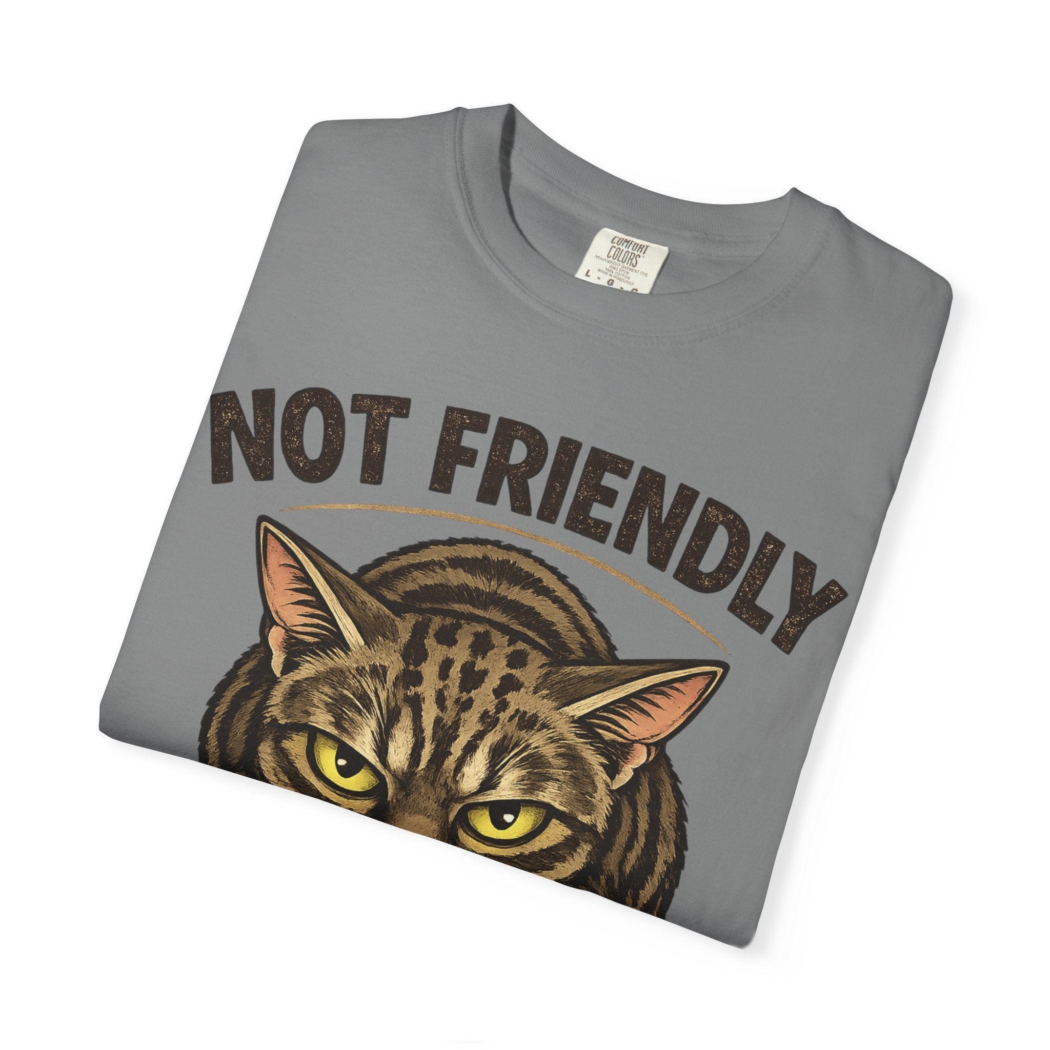 Not Friendly Cat T-Shirt — Retro Grumpy Tabby Graphic Tee