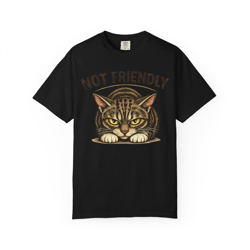 Not Friendly Cat T-Shirt — Retro Grumpy Tabby Graphic Tee