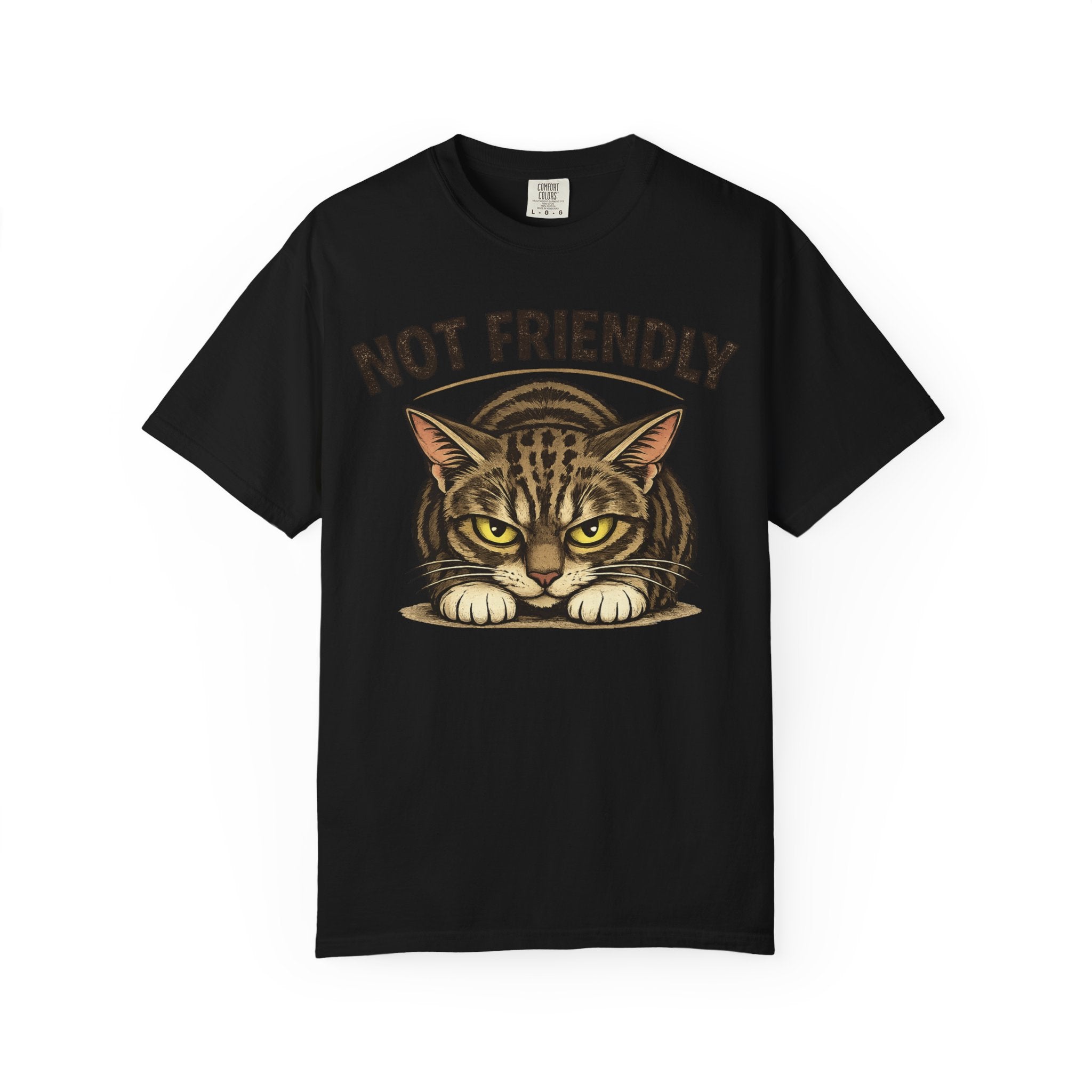 Not Friendly Cat T-Shirt — Retro Grumpy Tabby Graphic Tee