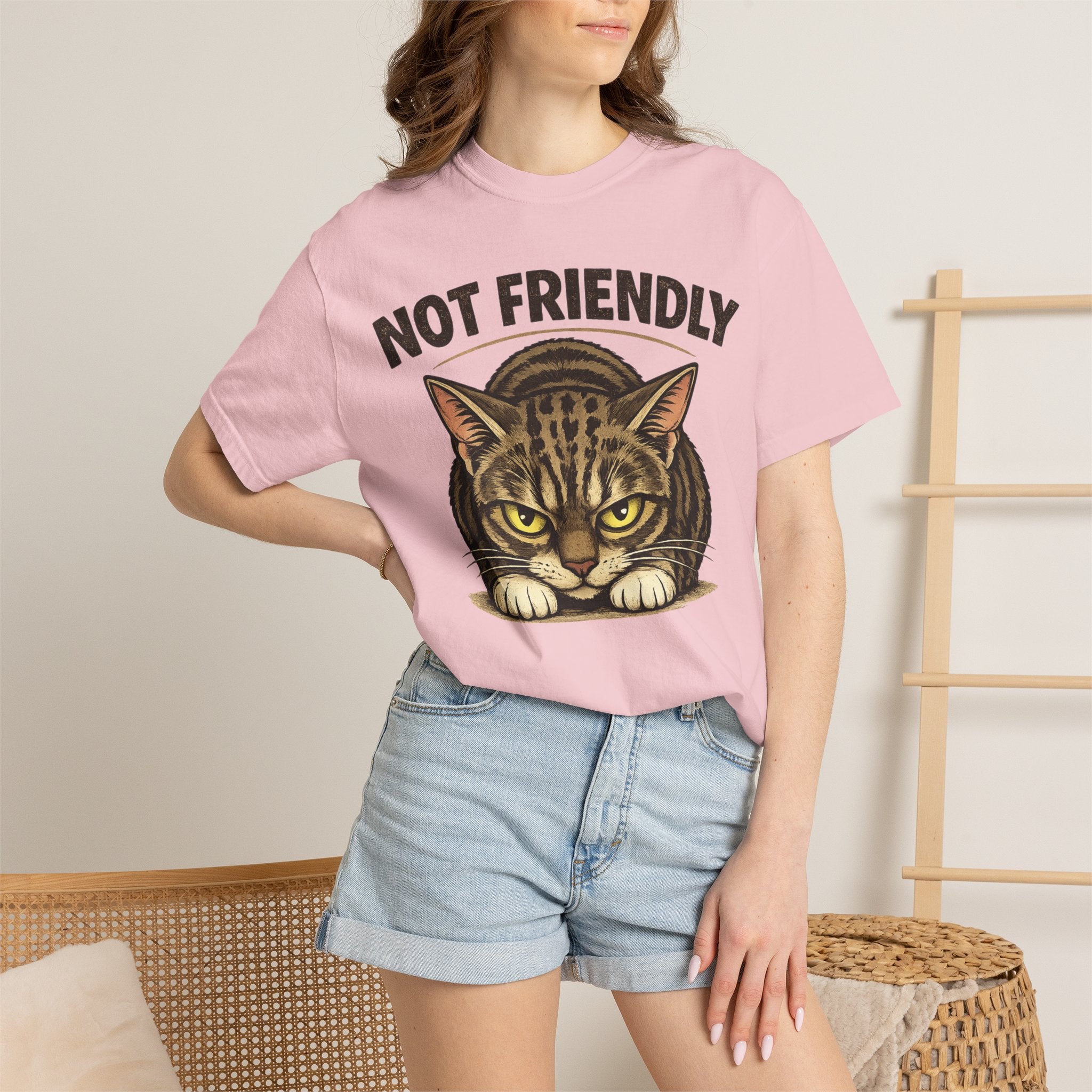 Not Friendly Cat T-Shirt — Retro Grumpy Tabby Graphic Tee