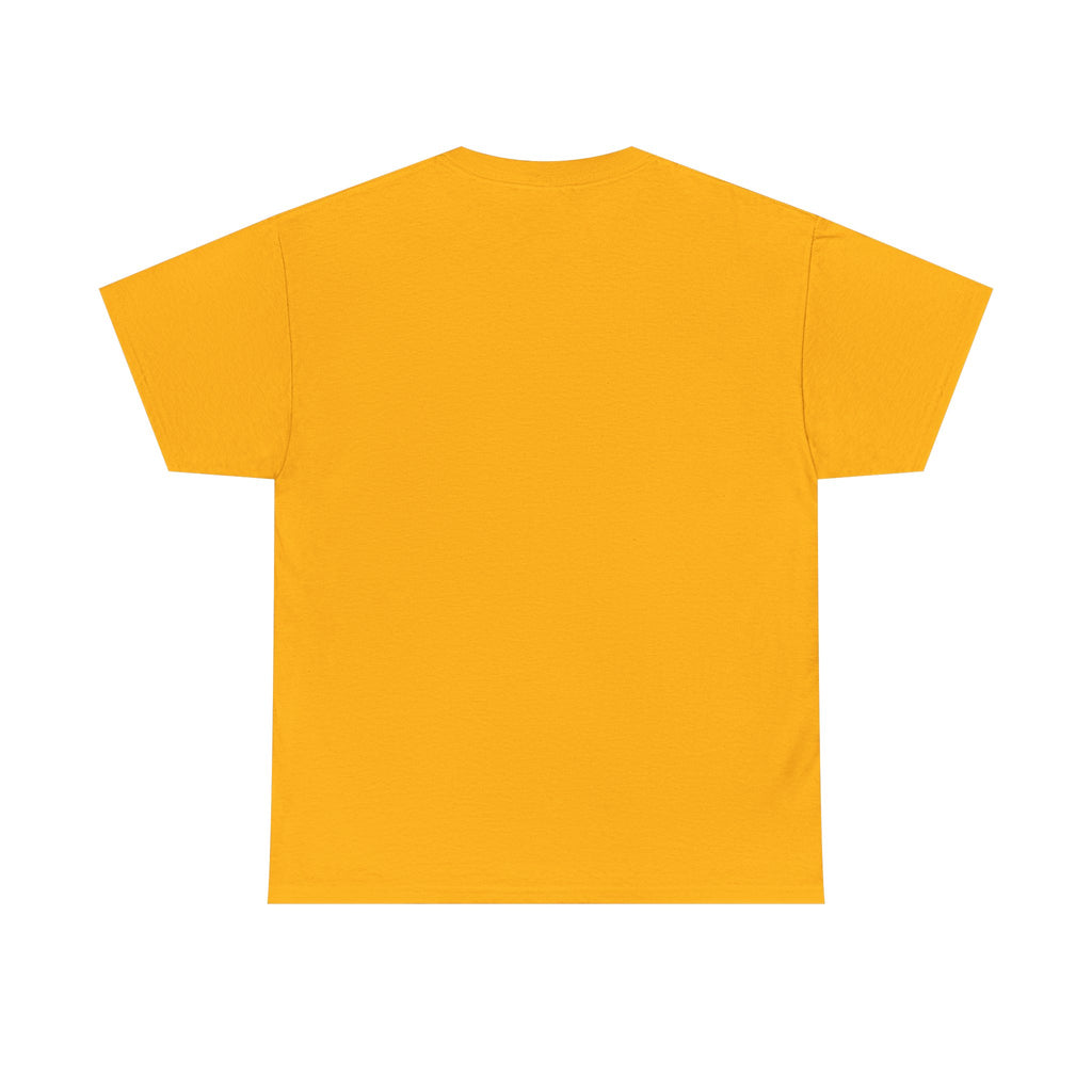 Not Friendly Cat T-Shirt — Graphic Tee "Approach With Snacks"