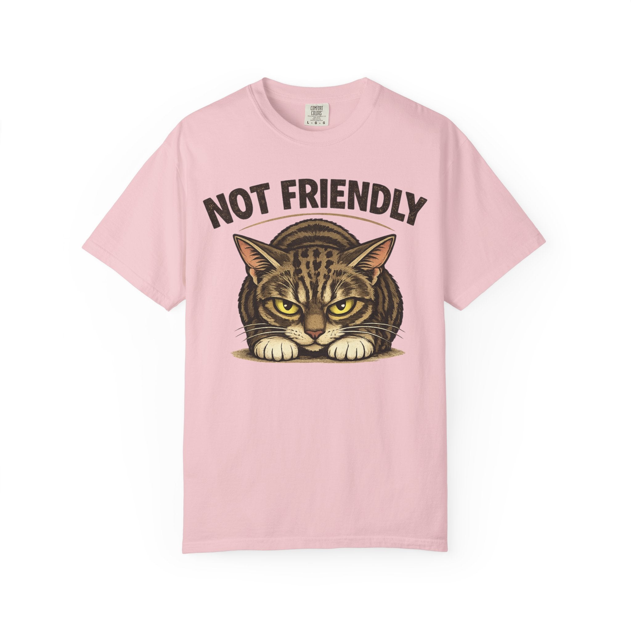 Not Friendly Cat T-Shirt — Retro Grumpy Tabby Graphic Tee