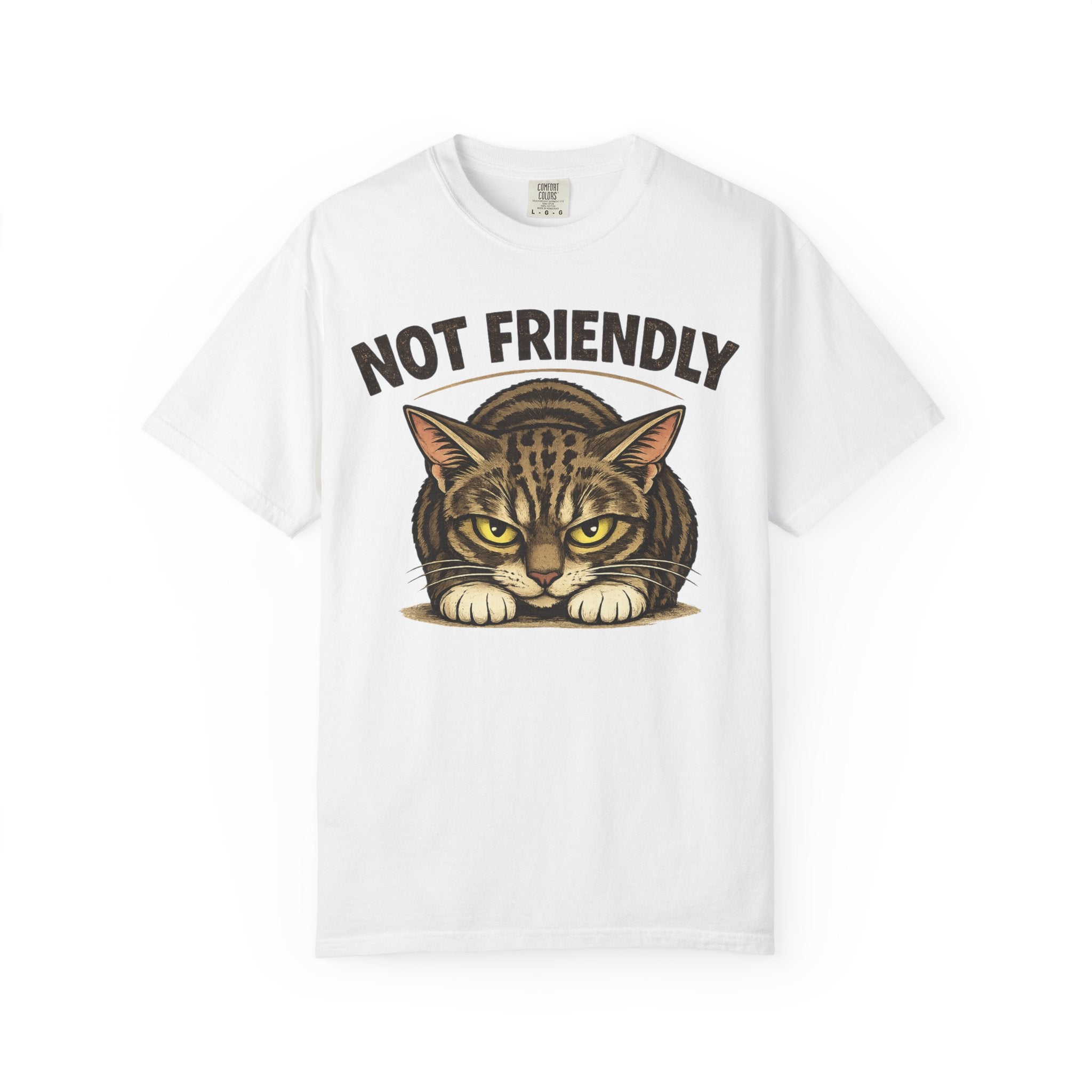 Not Friendly Cat T-Shirt — Retro Grumpy Tabby Graphic Tee