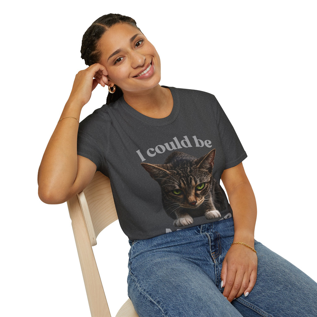 T-Shirt — I Could Be Meaner Cat Graphic Tee