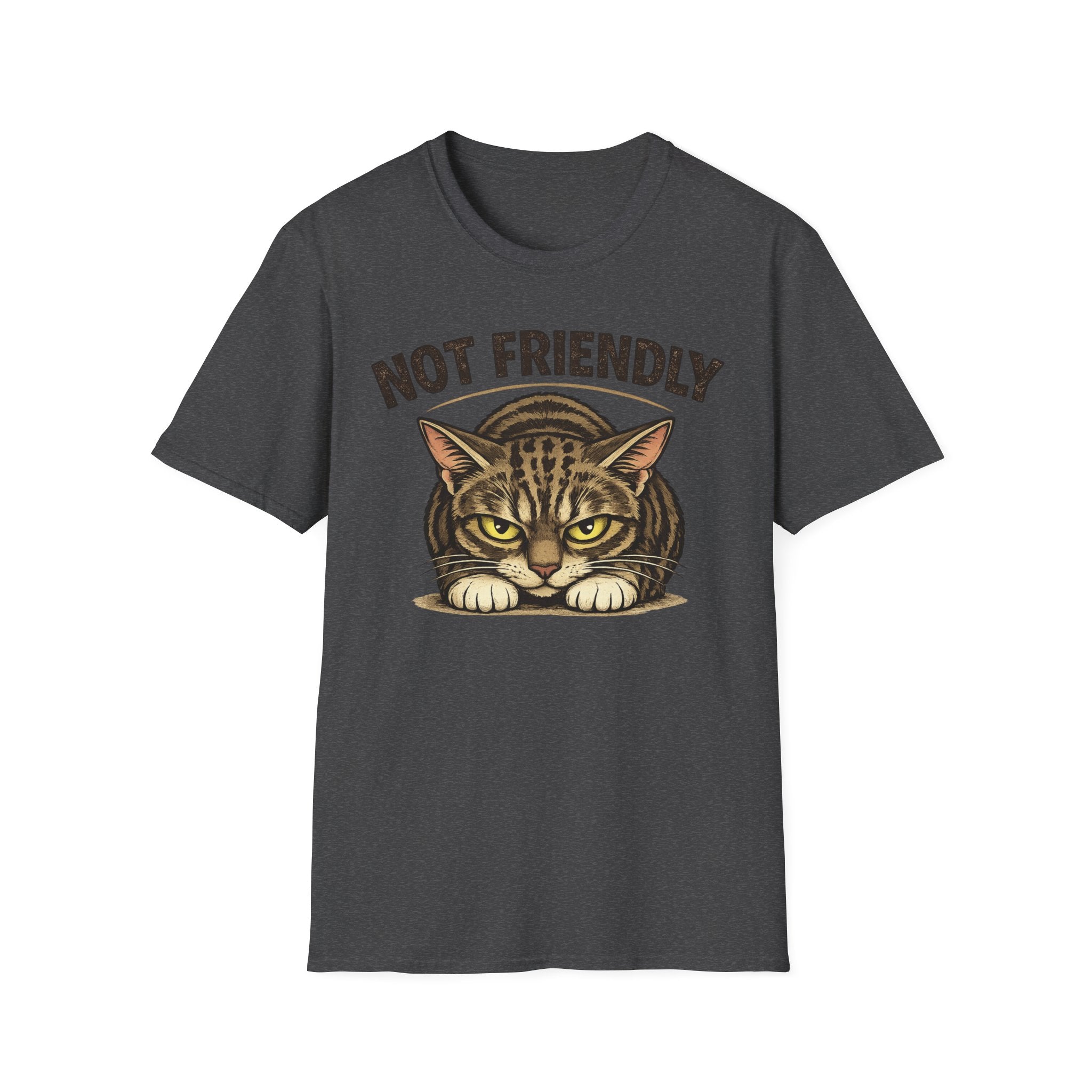 Not Friendly Cat T-Shirt — Grumpy Tabby Graphic Tee for Cat Lovers