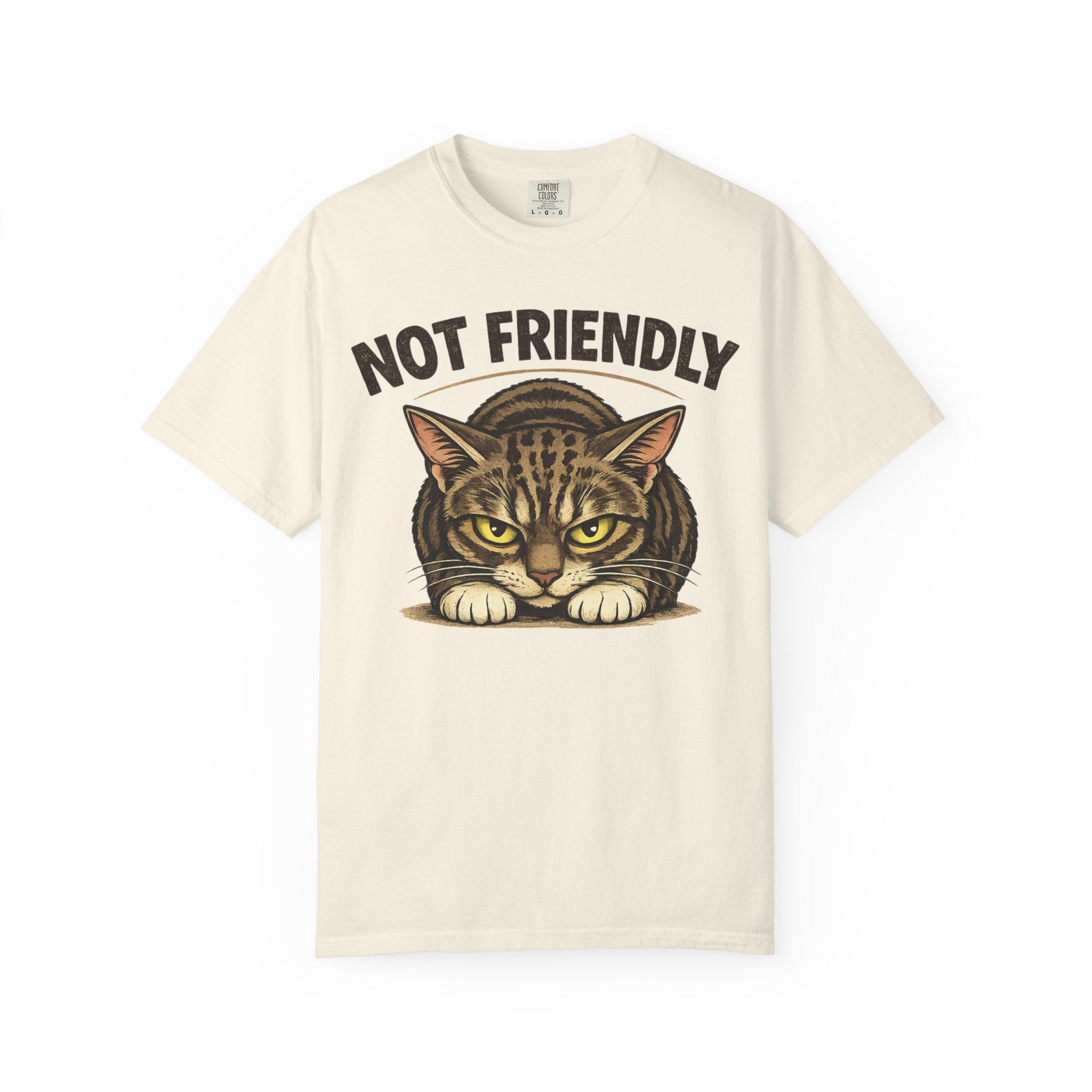 Not Friendly Cat T-Shirt — Retro Grumpy Tabby Graphic Tee