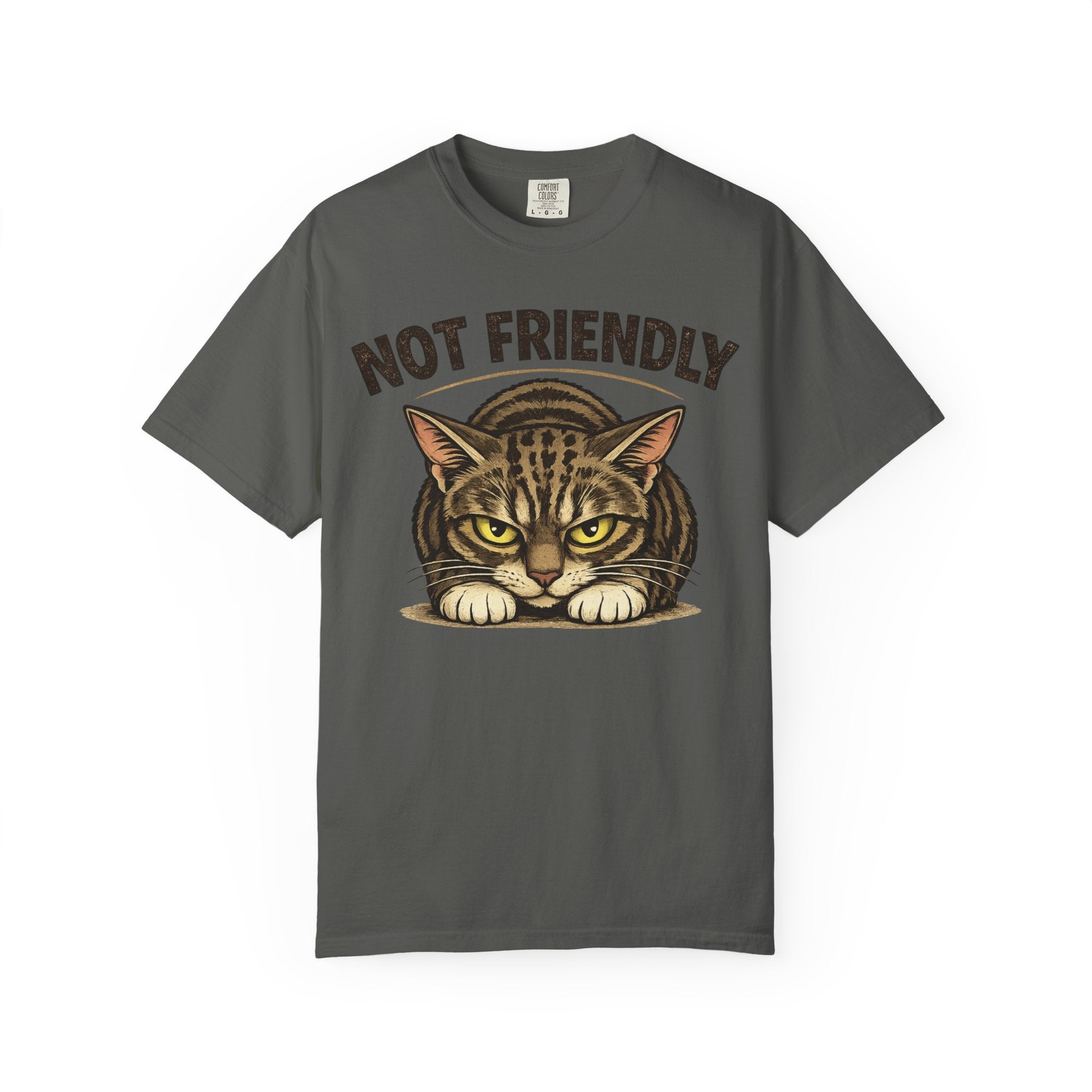 Not Friendly Cat T-Shirt — Retro Grumpy Tabby Graphic Tee