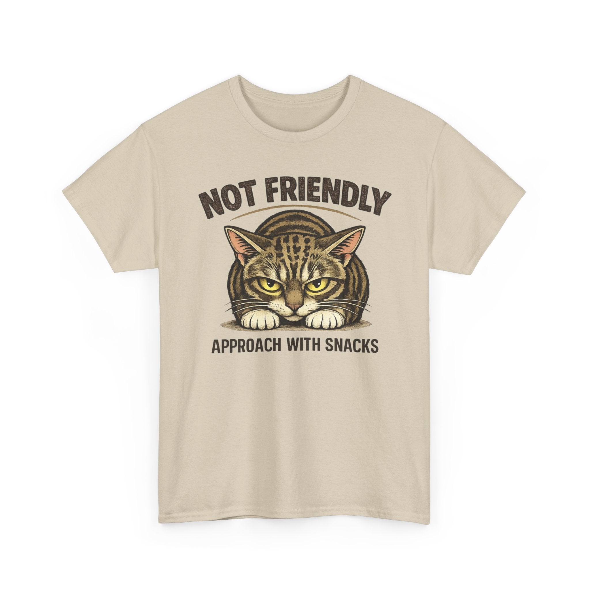 Not Friendly Cat T-Shirt — Graphic Tee "Approach With Snacks"