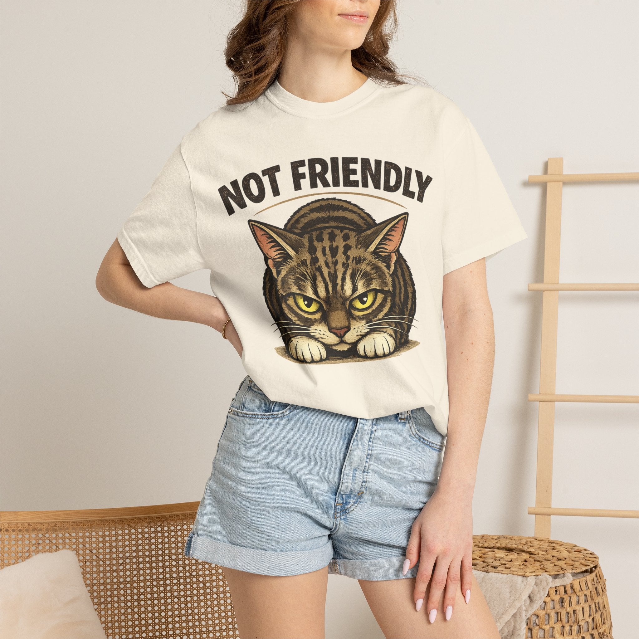 Not Friendly Cat T-Shirt — Retro Grumpy Tabby Graphic Tee