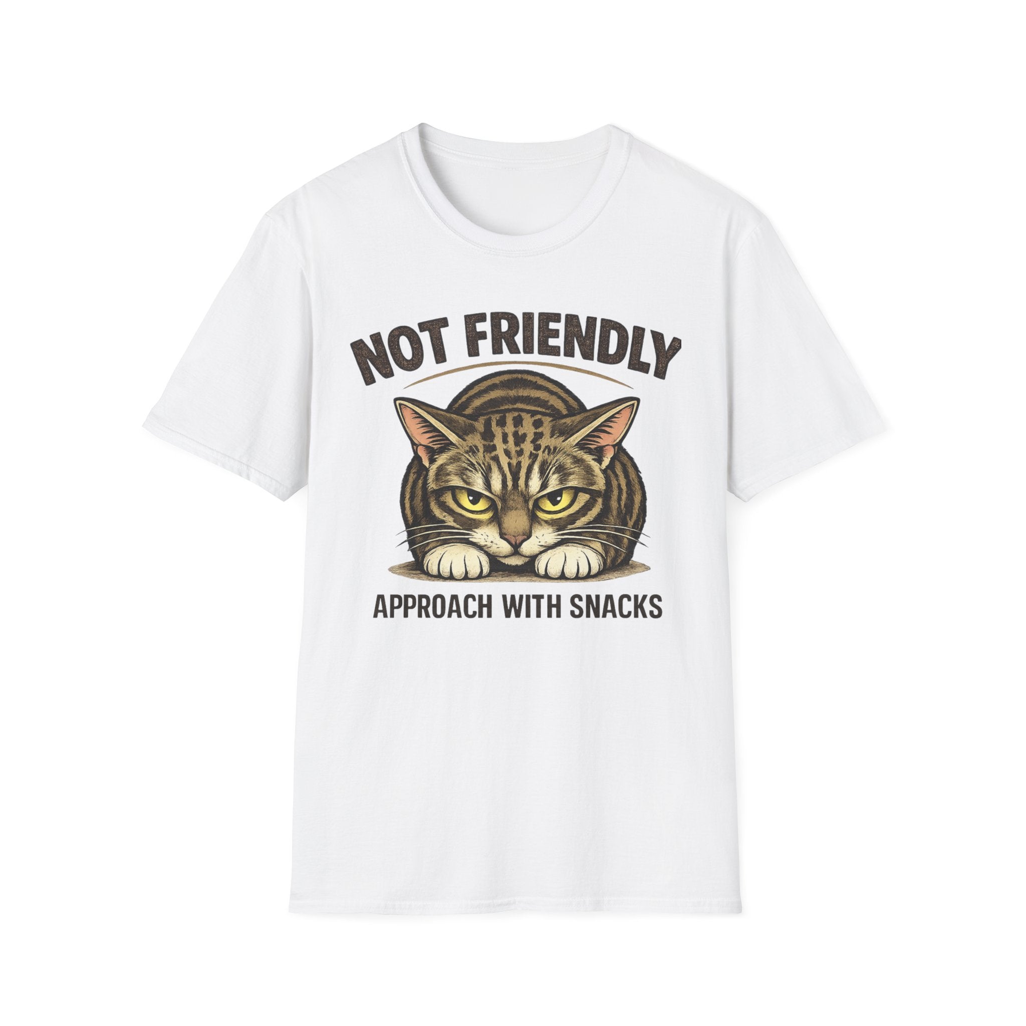 Not Friendly Cat T-Shirt — "Approach With Snacks" Vintage Grumpy Cat Tee