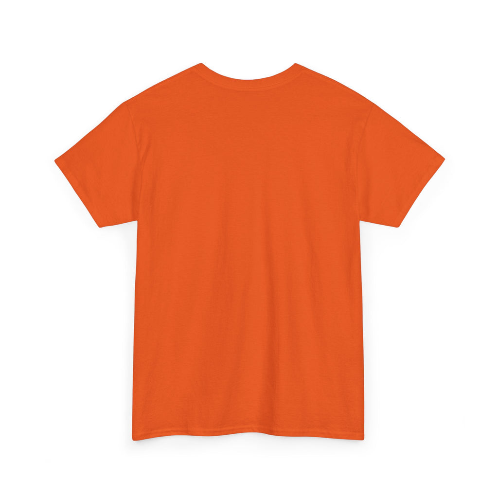 Not Friendly Cat T-Shirt — Graphic Tee "Approach With Snacks"