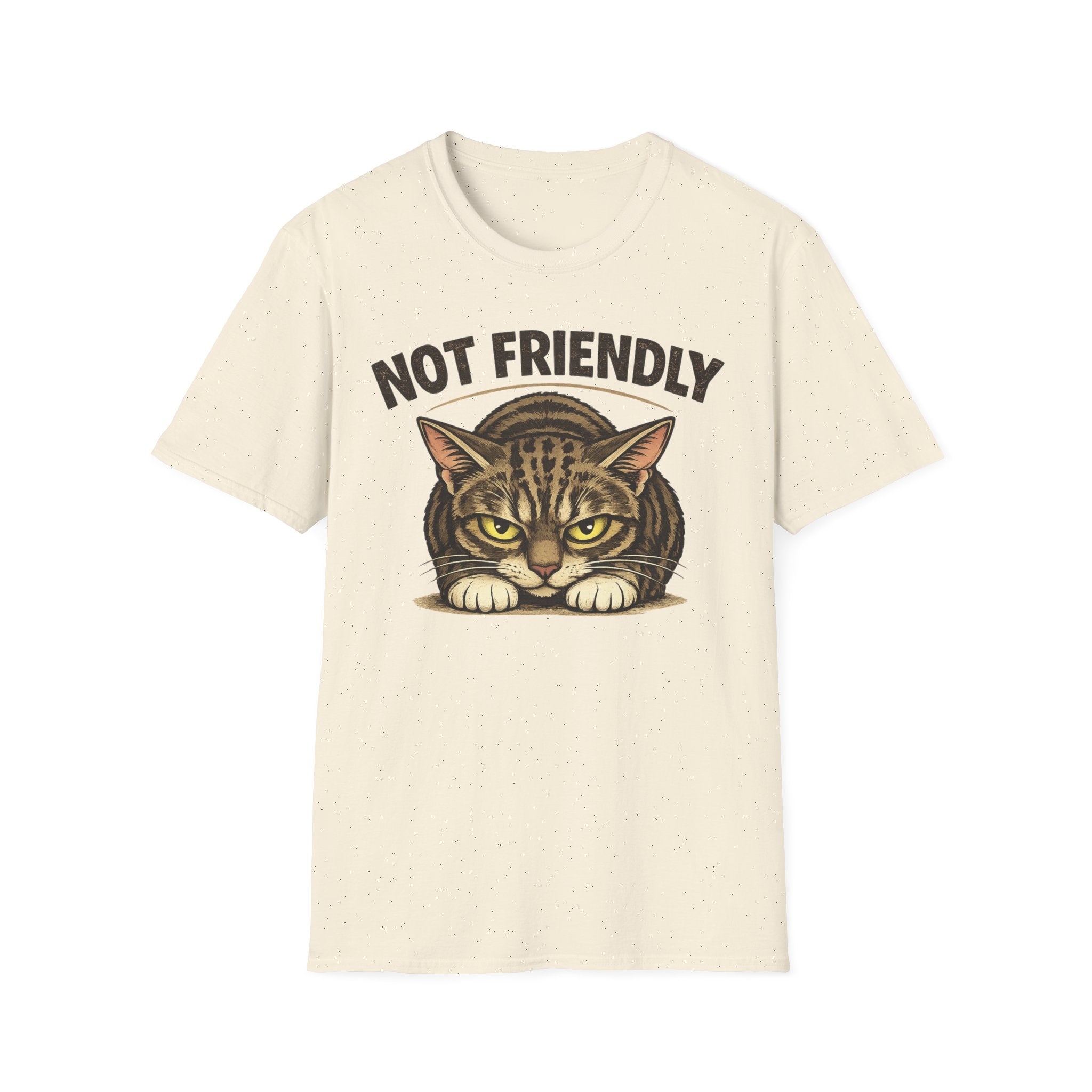 Not Friendly Cat T-Shirt — Grumpy Tabby Graphic Tee for Cat Lovers