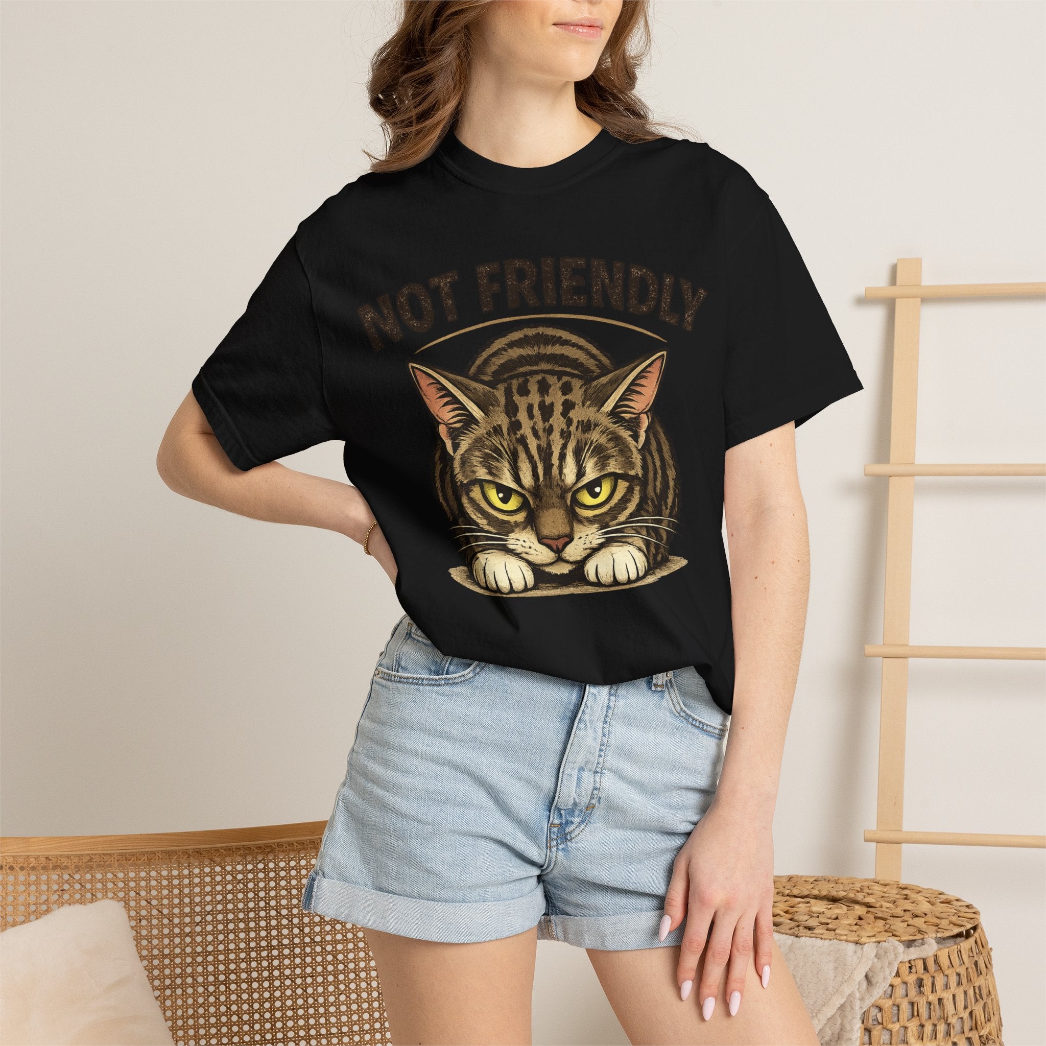 Not Friendly Cat T-Shirt — Retro Grumpy Tabby Graphic Tee