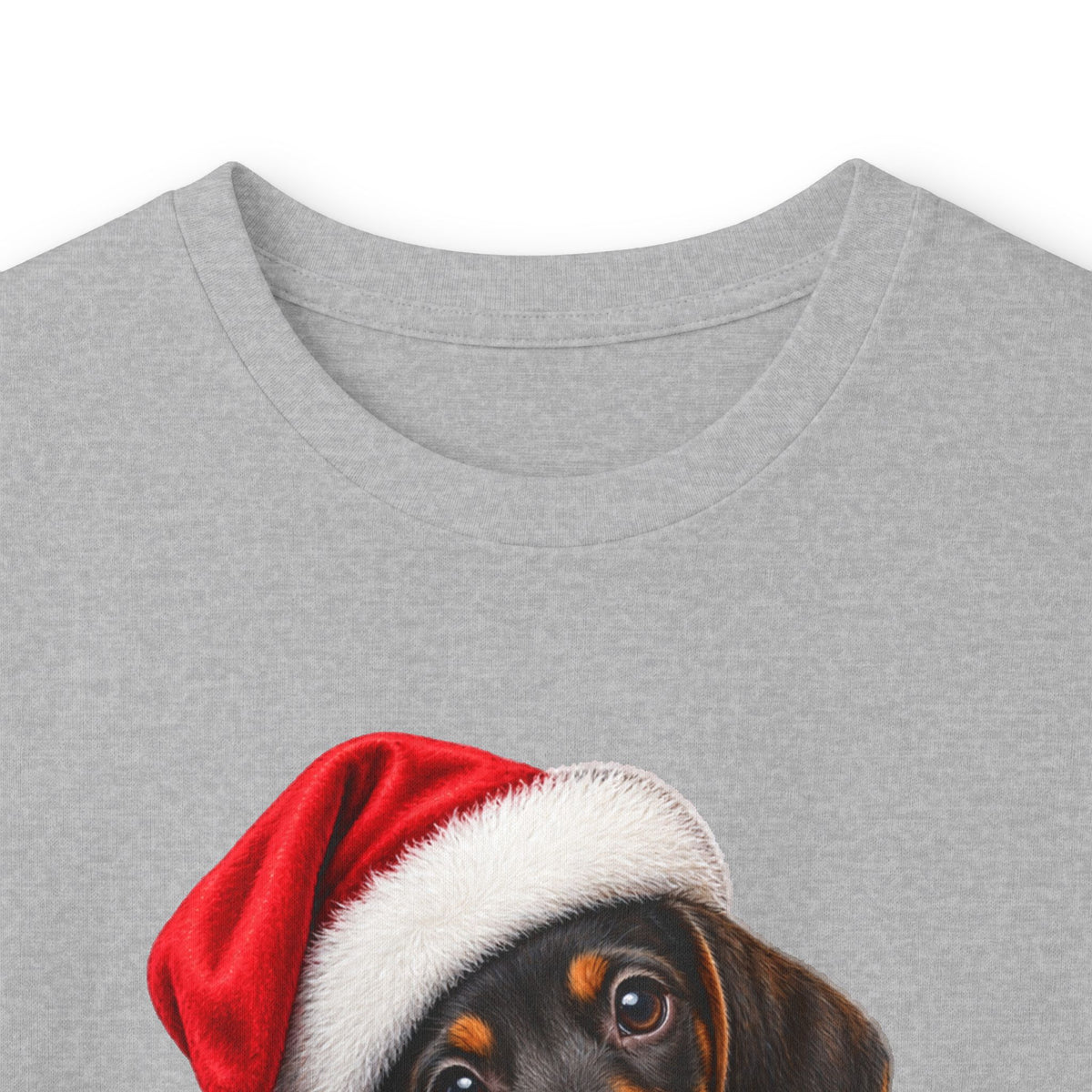 Dachshund Christmas Long Sleeve Tee - Santa Hat Puppy Holiday Shirt