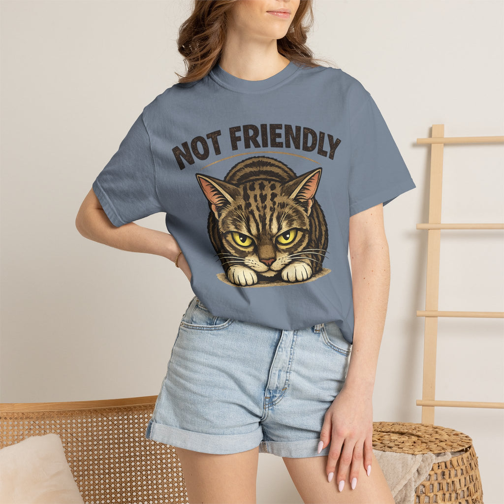 Not Friendly Cat T-Shirt — Retro Grumpy Tabby Graphic Tee