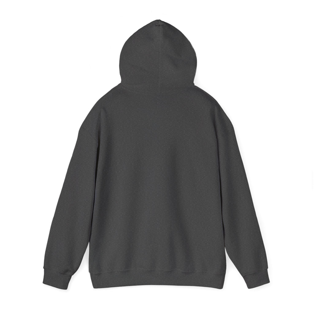 Mystic Death Moth Skull Hoodie – Crescent Moon Gothic Graphic Sweatshirt