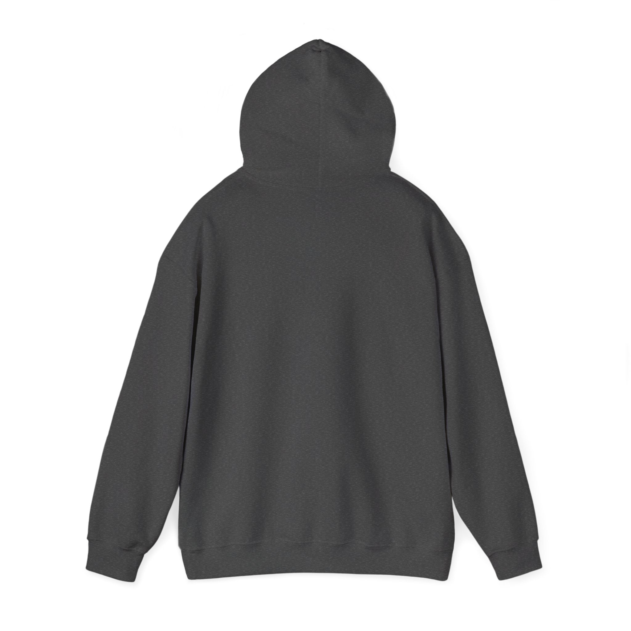 Mystic Death Moth Skull Hoodie – Crescent Moon Gothic Graphic Sweatshirt