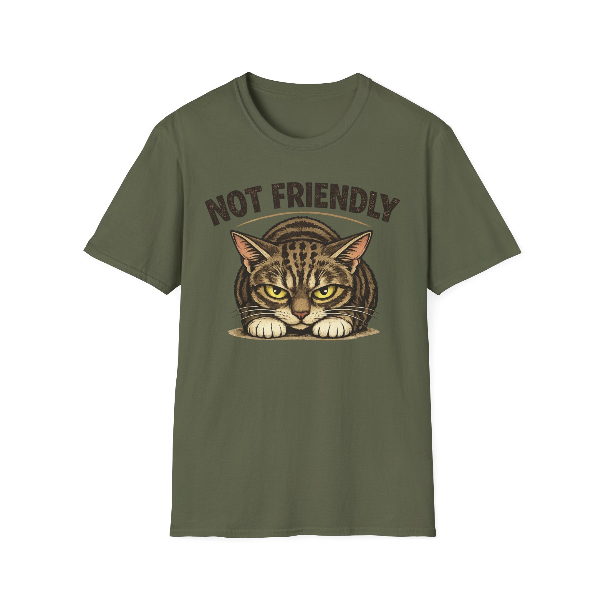 Not Friendly Cat T-Shirt — Grumpy Tabby Graphic Tee for Cat Lovers