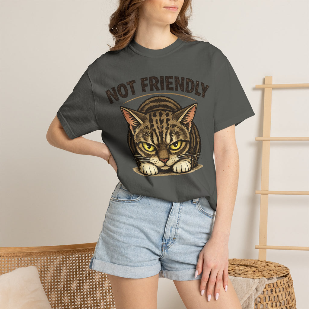 Not Friendly Cat T-Shirt — Retro Grumpy Tabby Graphic Tee