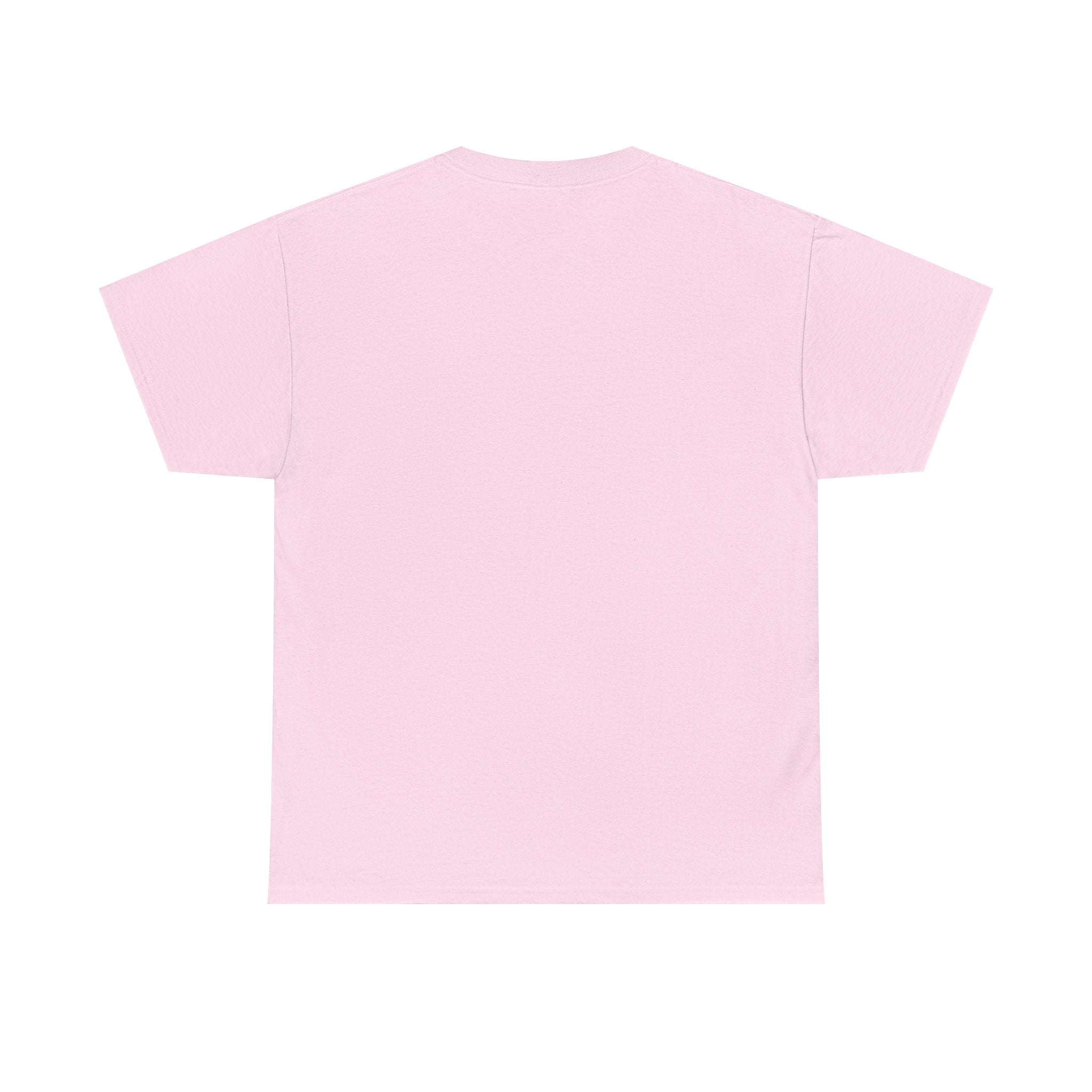 Not Friendly Cat T-Shirt — Graphic Tee "Approach With Snacks"
